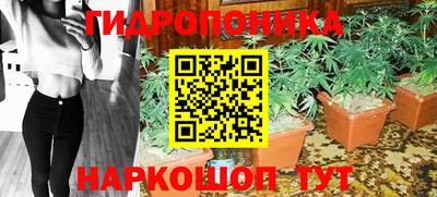 Альфа ПВП Краснознаменск