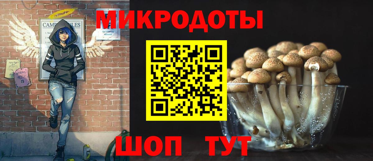 Псилоцибиновые грибы Psilocybine cubensis Ишим